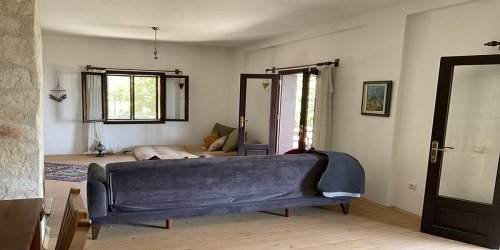 Mulberry – The poet’s house-PHOTO-2024-05-07-11-30-15_2.jpg-thumb
