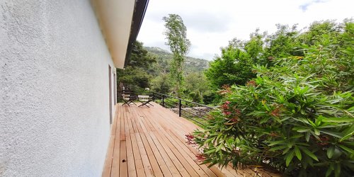 Mulberry – The poet’s house-PHOTO-2024-05-07-11-30-16_1.jpg-thumb