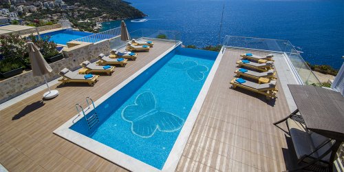 Villa Blue Butterfly-d032559578.jpg-thumb